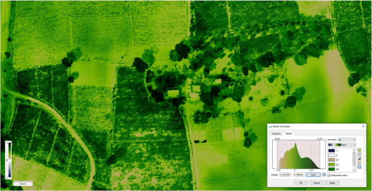 NDVI analysis of drone data quantifying vegetation health and density