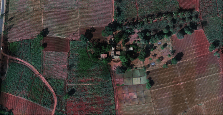 RGB aerial imagery of farm plots captured by a survey drone