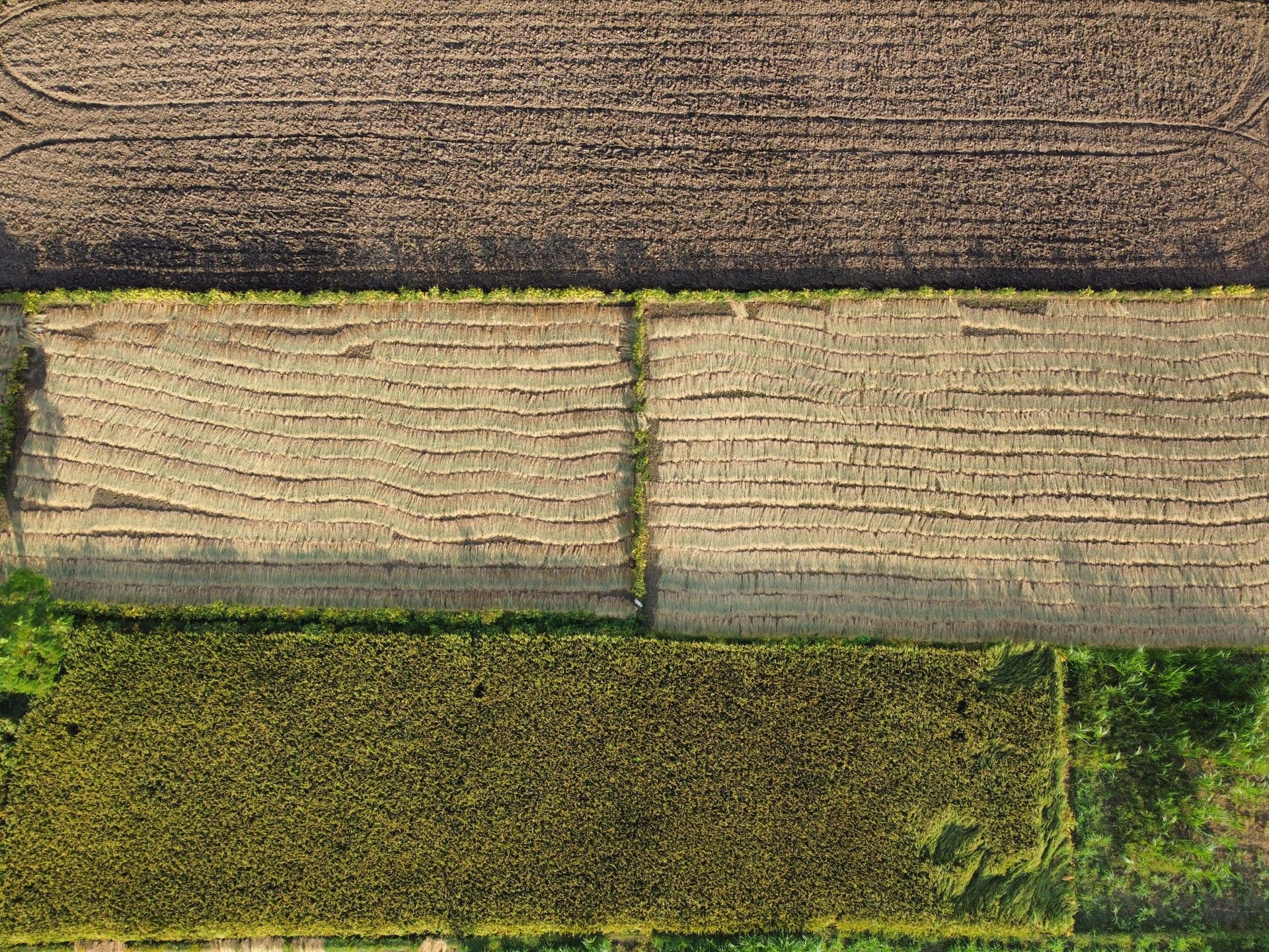 Aerial survey imagery of agricultural land used for GIS analysis