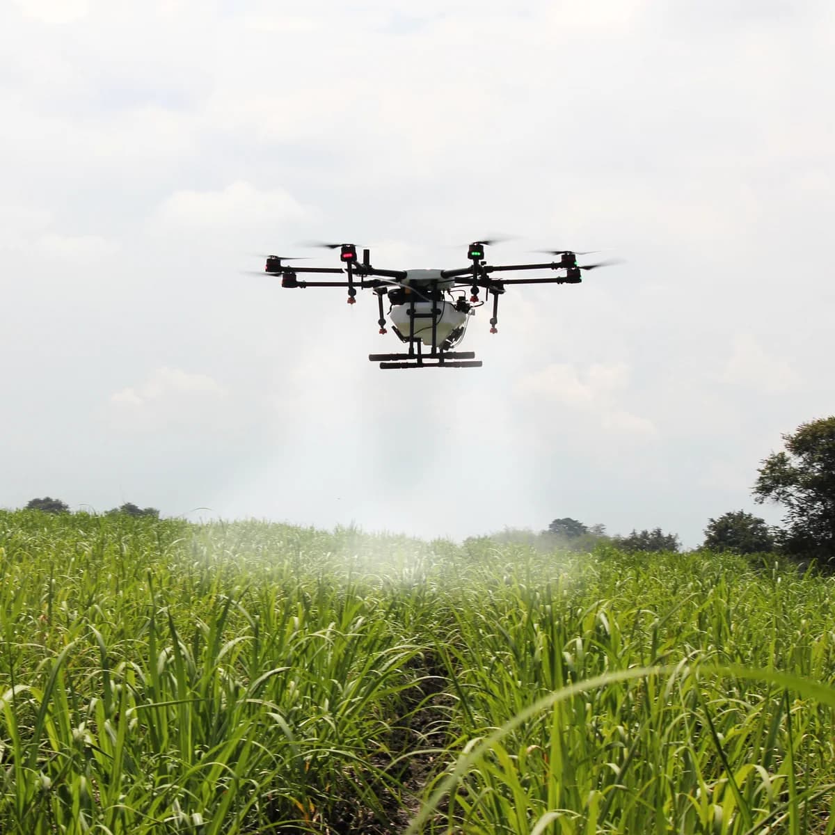 Agricultural spraying drone releasing a fine mist over a standing crop
